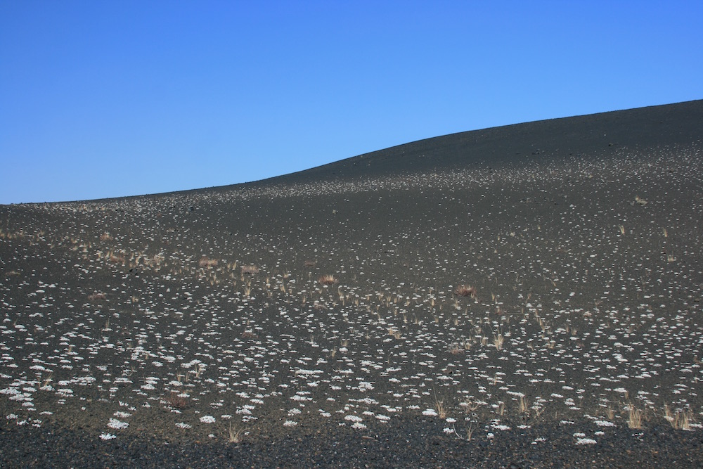 Craters of the Moon National Monument, Idaho