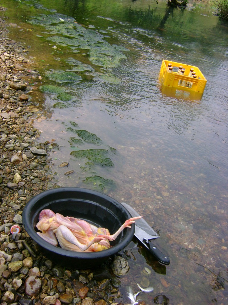 Picnic